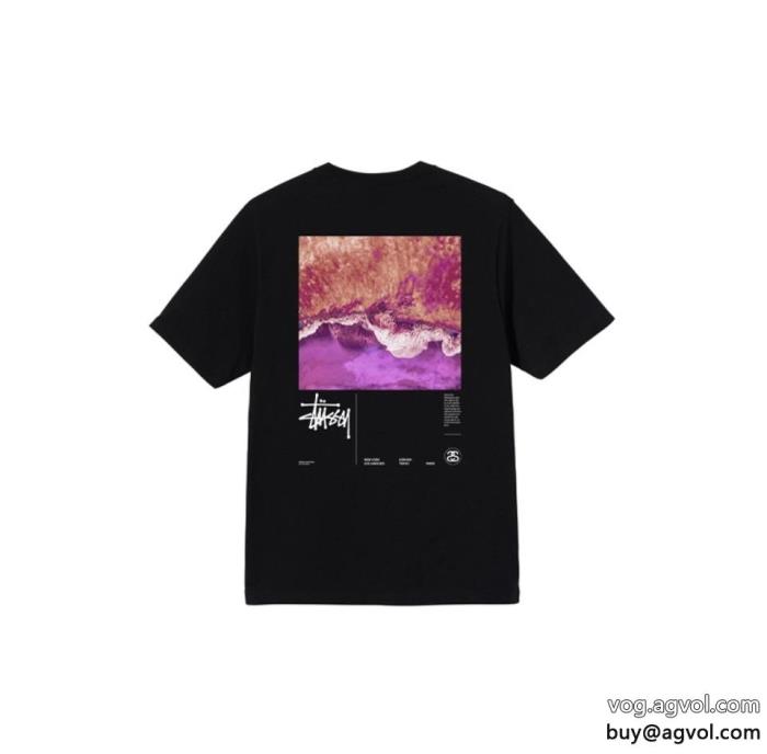 STUSSY重宝する新作限定大人でエレ半袖Tシャツコピー ブランド 販売_0_3