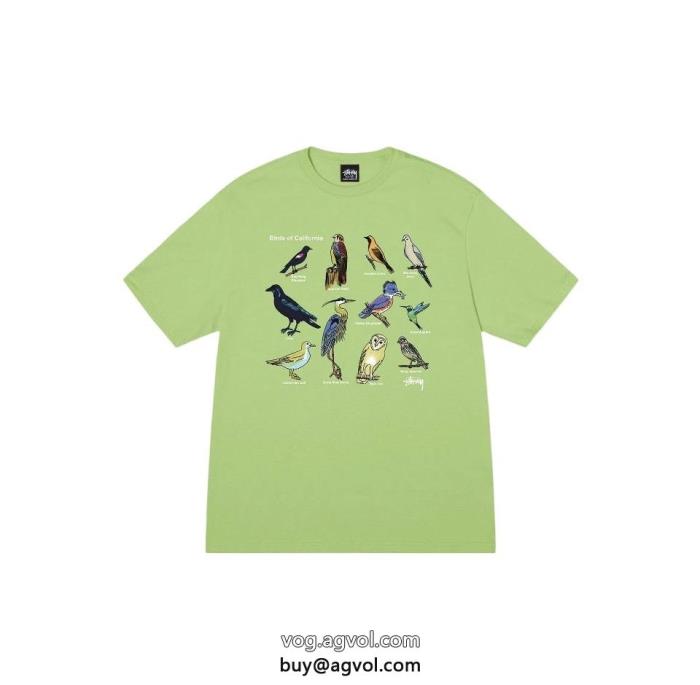 スタイルUP効果あり快適な履き心地STUSSYコピー 品 ブランド半袖Tシャツ_0_4