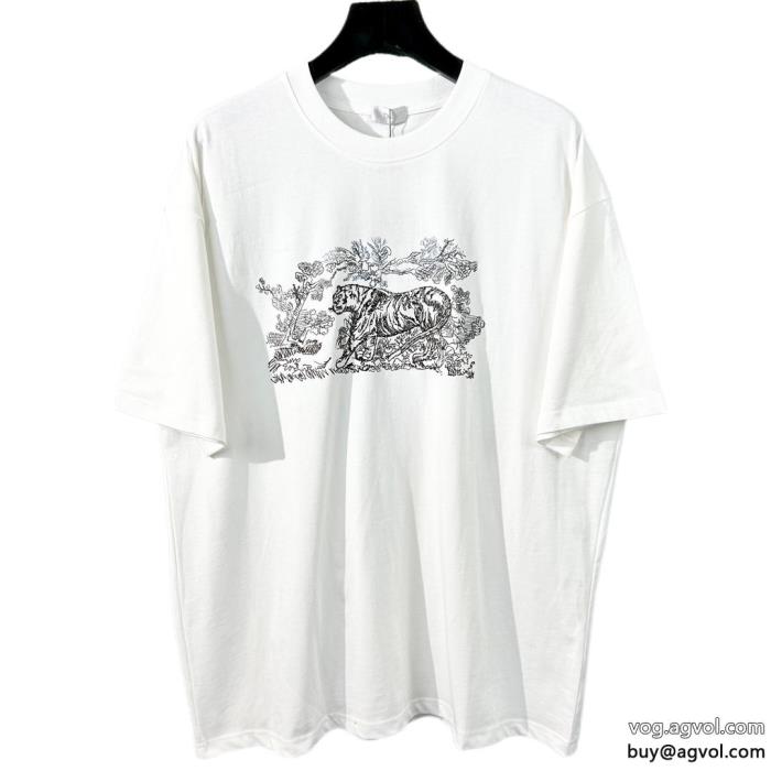 DIOR最新の2024アイテム国内希少！大人気半袖Tシャツスーパー コピー 品_0_1