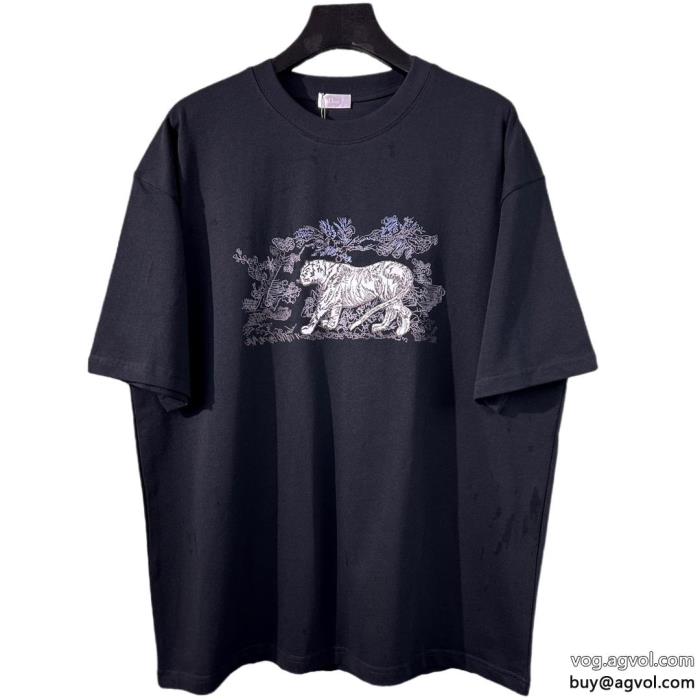 DIOR最新の2024アイテム国内希少！大人気半袖Tシャツスーパー コピー 品_0_2