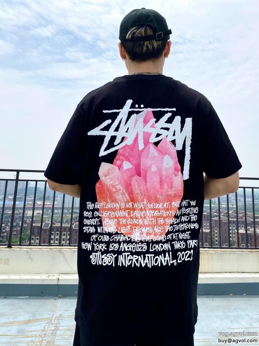 清潔感で洗練されロゴがかっこいい半袖Tシャツコピー 品 販売STUSSY_0_0