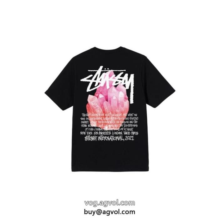 清潔感で洗練されロゴがかっこいい半袖Tシャツコピー 品 販売STUSSY_0_2
