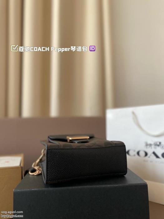 限定生産品魅力的な今年らしいCOACH偽 ブランドバッグ_0_1