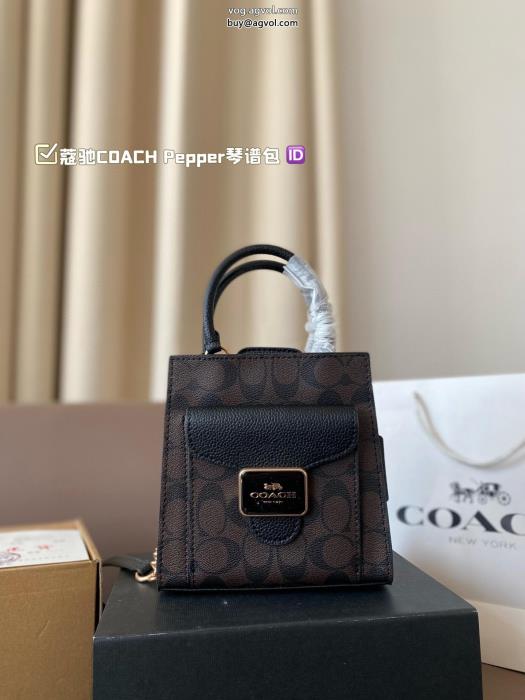 限定生産品魅力的な今年らしいCOACH偽 ブランドバッグ_0_2