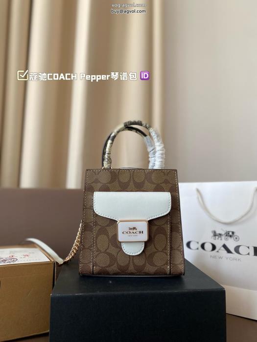 限定生産品魅力的な今年らしいCOACH偽 ブランドバッグ_0_5