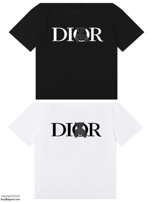 定番人気のモデル大人着用可コピー ブランド 優良ディオール半袖Tシャツ_0_4