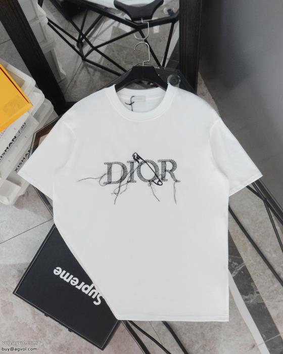 半袖TシャツDIOR23AWの最新アイテム最新2024スーパー コピー 通販 優良_0_0