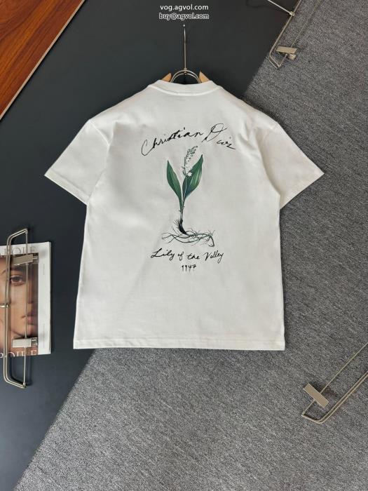 人気ブランド夏の注目2024ブランド新作激安 通販 専門DIOR半袖Tシャツ_0_4
