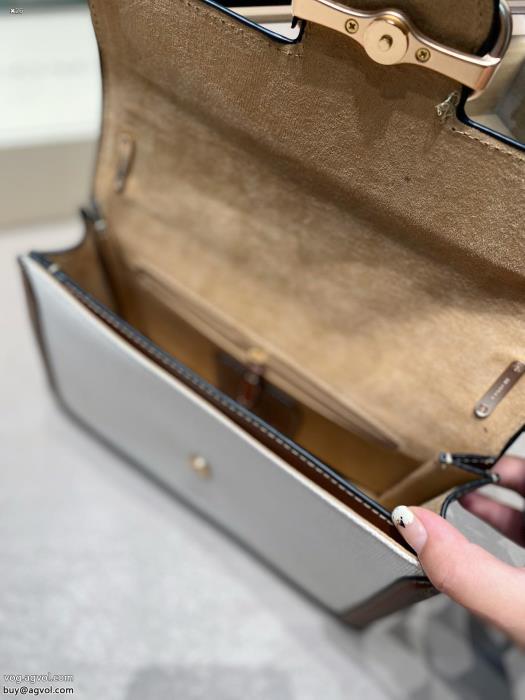 バッグCOACH今年のトレンドカラー2024季節限定ブランド 激安 _0_3