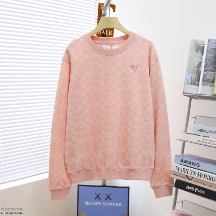 パーカー海外限定モデル 新作今だけSALEブランド 品 スーパー コピーコーチ_0_0