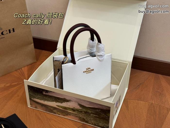 バッグ販路限定モデル最高級ランクスーパー コピー 販売COACH_0_2