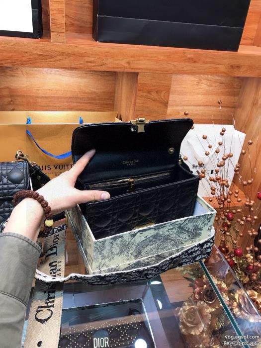 DIORブランド コピー 販売 透け感新作がイチ推し20242024用バッグ_0_1