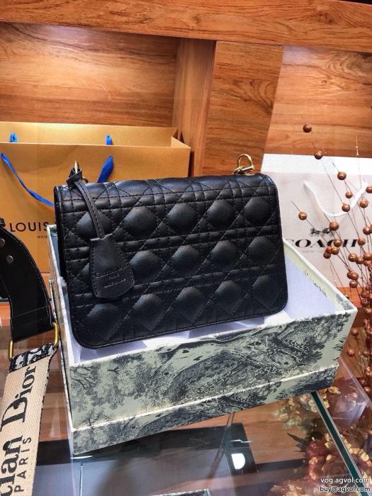 DIORブランド コピー 販売 透け感新作がイチ推し20242024用バッグ_0_3