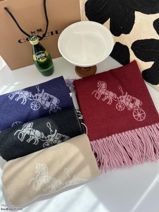 今季話題の一級品夏の必須アイテムをCOACHマフラーブランド 品 激安 通販_0_2