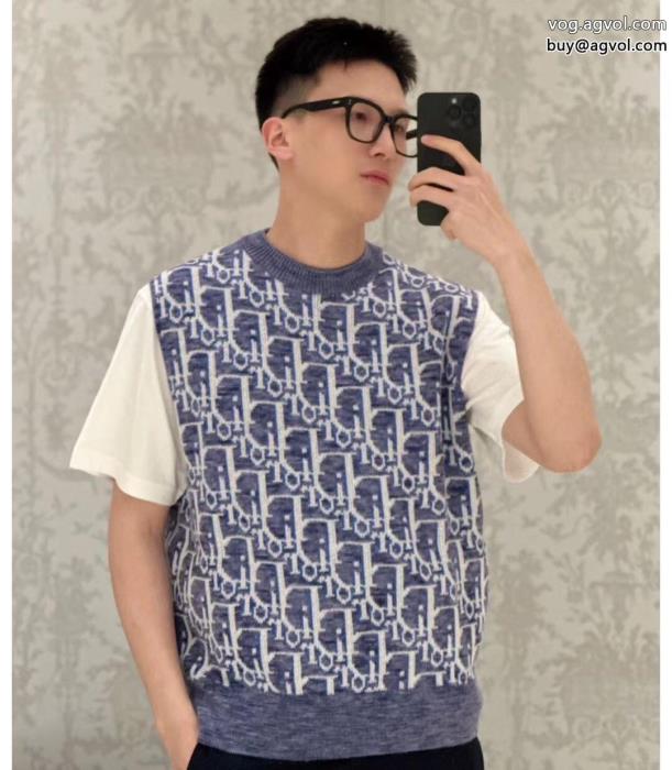 半袖TシャツDIORブランド 通販爆発的な人気高級感ある_0_3