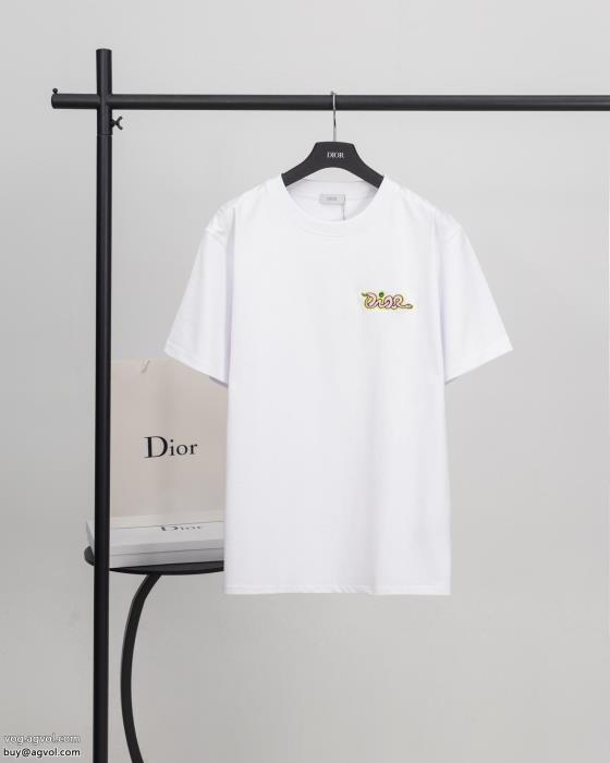 半袖TシャツDIORコピー 商品 ブランド発表の新作モデル可愛い新モデル_0_1