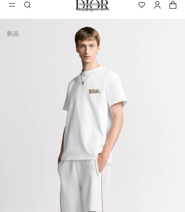 半袖TシャツDIORコピー 商品 ブランド発表の新作モデル可愛い新モデル_0_2