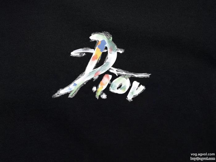 秋冬の流行りトップス知的な雰囲気冬着物半袖Tシャツブランド フェイクDIOR_0_3