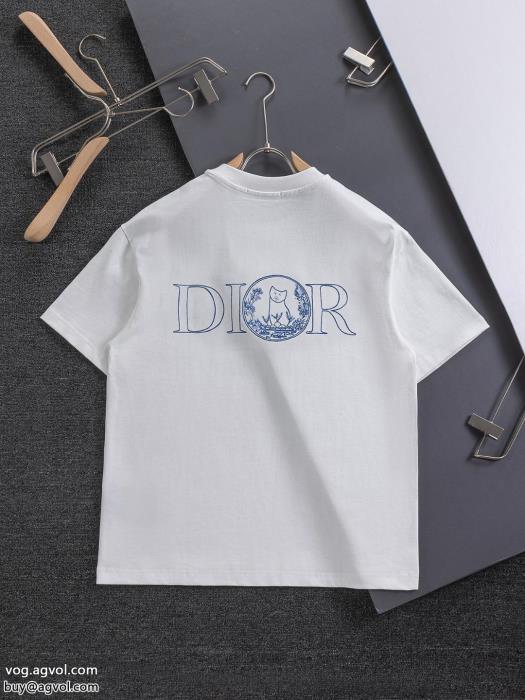 偽 ブランド肌触りの良いサラりと完売間近DIOR半袖Tシャツ_0_1
