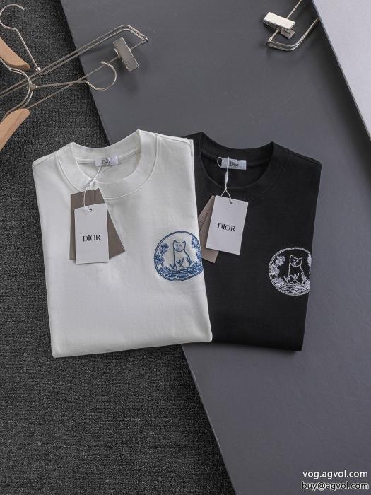 偽 ブランド肌触りの良いサラりと完売間近DIOR半袖Tシャツ_0_2