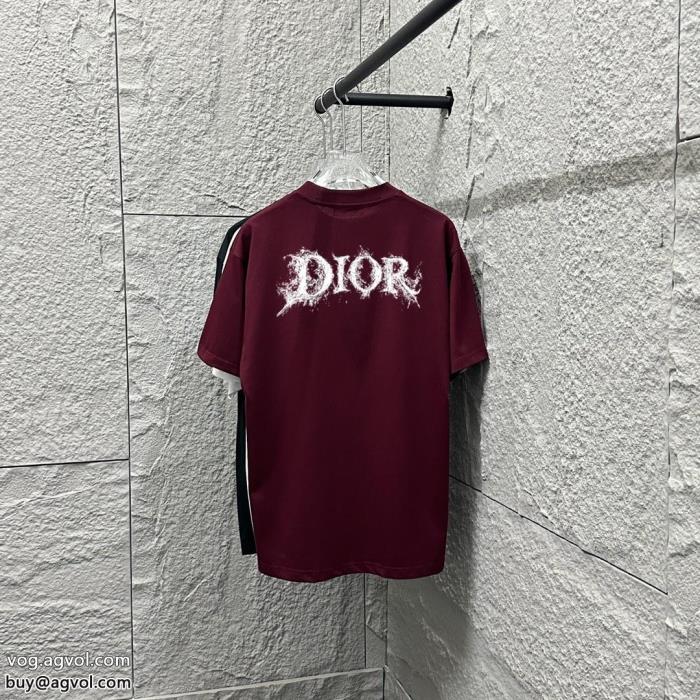 半袖Tシャツ人気商品再入荷限定価格　早期完売スーパー コピー 品DIOR_0_2