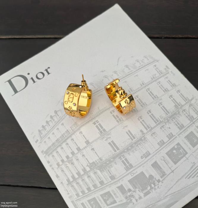 話題が沸騰中上品な印象に格上げブランド 通販 激安イヤリングDIOR_0_1