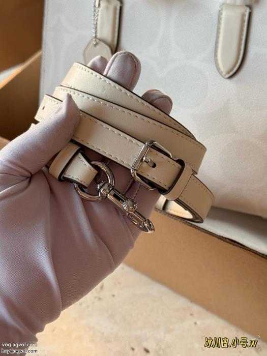 COACHブランド 偽物 通販バッグ2025人気がますます人気上品カジュアルな雰囲気に_0_2
