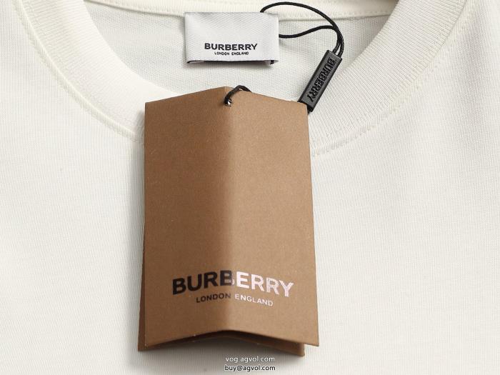 季節感をプラス人気商品モード感の高いブランド 激安 LOUIS VUITTON半袖Tシャツ_0_0