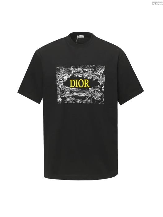 DIOR最新☆大人気☆話題沸騰在庫希少ブランド コピー ショップ半袖Tシャツ_0_2