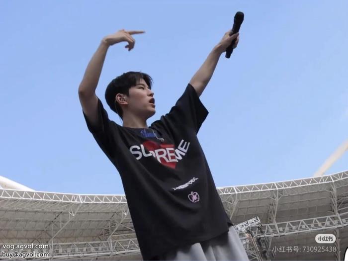 ブランド コピー2025限定色や海外限定高品質素材半袖Tシャツシュプリーム_0_0