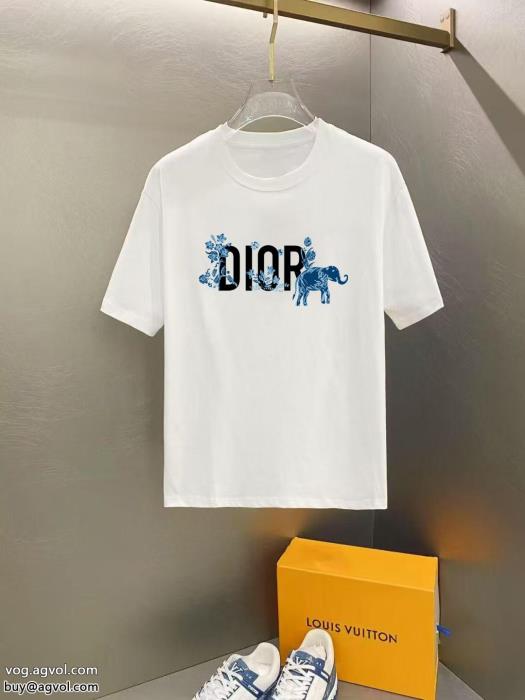 DIOR新作売切れ続出限定生産品スーパー コピー 販売半袖Tシャツ_0_0