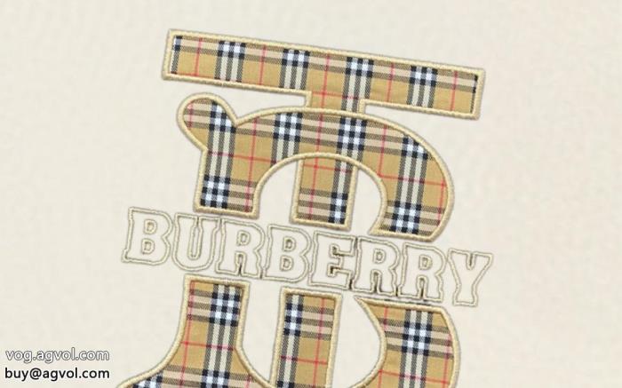 即完売早い者勝ちBURBERRYブランド 品 スーパー コピー半袖Tシャツ_0_3
