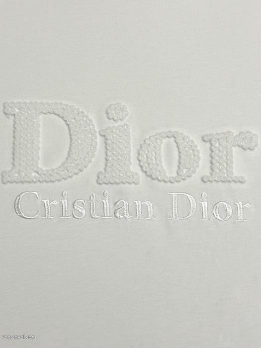 コピー 商品 販売半袖Tシャツ都会的な印象のスタイル大人気オリジナルDIOR_0_3