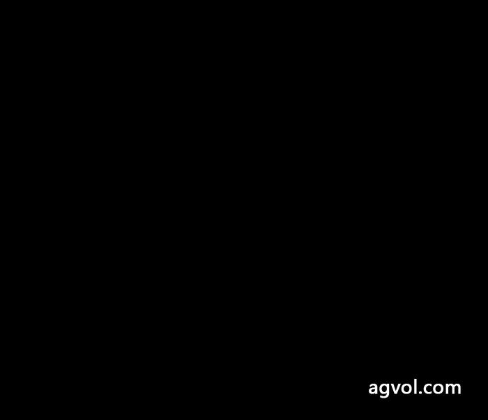LV ✖️ 草間彌生限定連名シリーズアップグレード版スエード長袖スタンドカラーコート_0_4