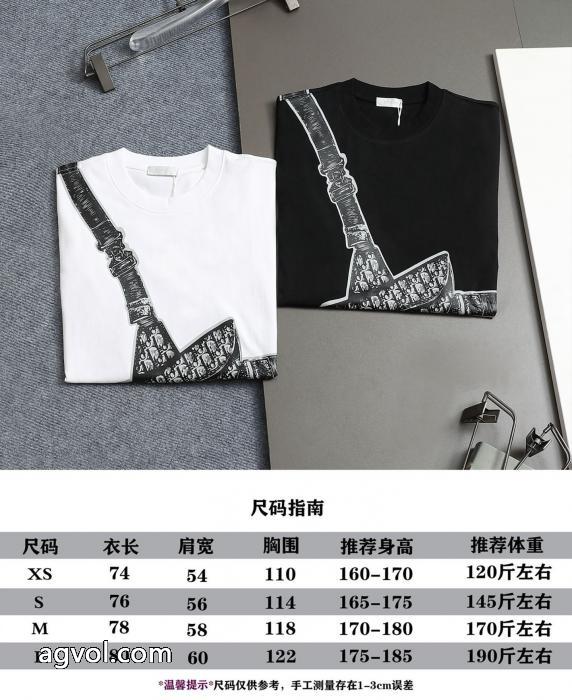 DIORディオール2025 SS春夏半袖Tシャツ新作_0_0