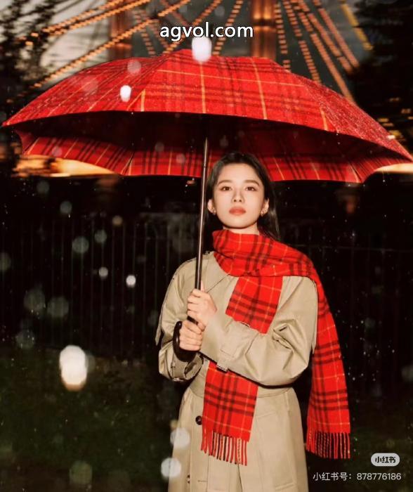 超目玉新作 全国無料全国無料HOT 新商品スーパー コピー 販売マフラーBURBERRY_0_5