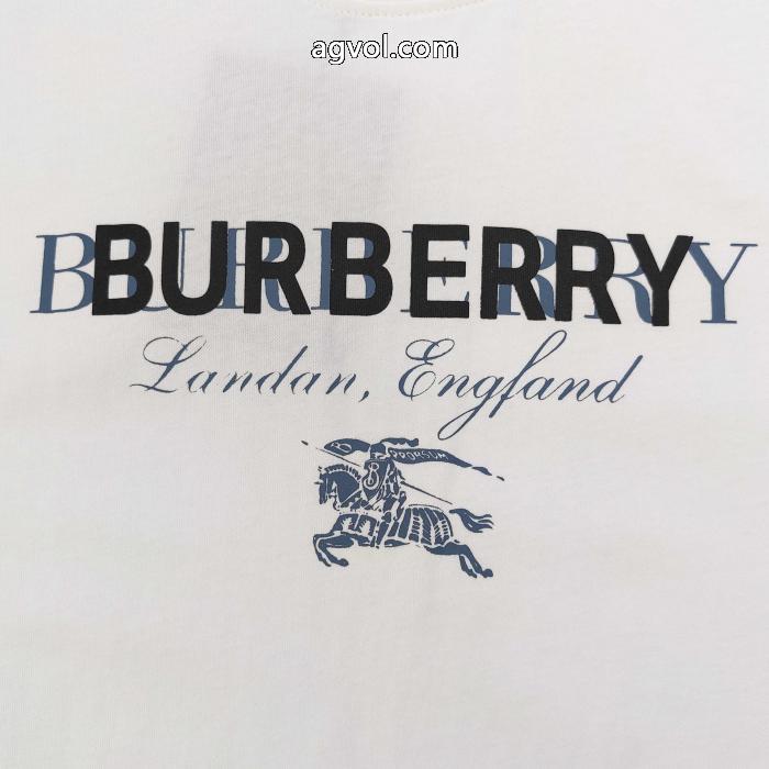 ブランド コピー 安心BURBERRY今季トレンドをうまく取り 存在感が高い 人気定番2026半袖Tシャツ_0_3