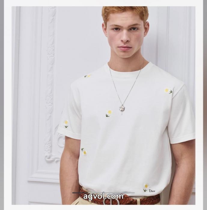 DIORブランド コピー 優良店半袖Tシャツ品質保証新作 顧客優待セール 不思議格安セール_0_3