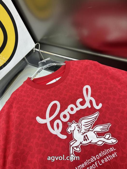 透け感良さ 今年らしい着こなし 個性的なスタイリングCOACHパーカー激安 通販 専門._0_2