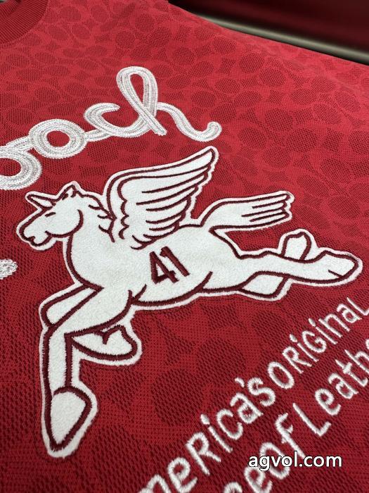 透け感良さ 今年らしい着こなし 個性的なスタイリングCOACHパーカー激安 通販 専門._0_3