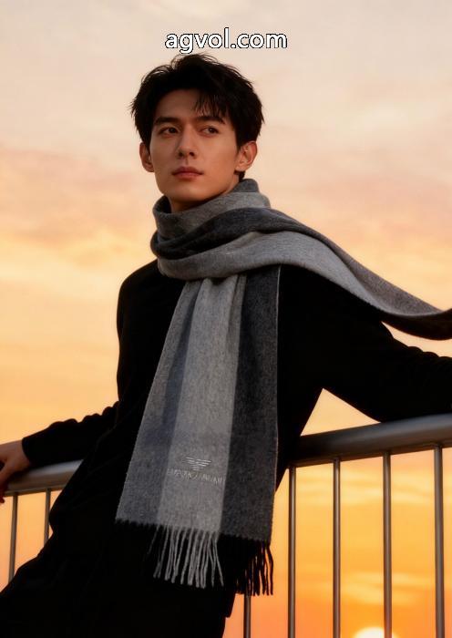 マフラーARMANIファッション感満々 高いファション性 VIP価格セールブランド 激安._0_1