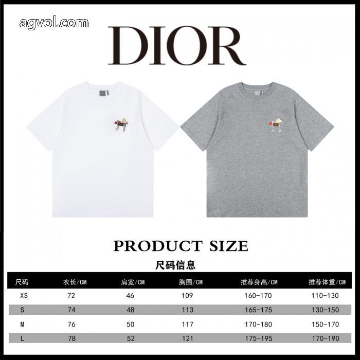 ディオール半袖Tシャツブランド 通販店人気売れ筋商品 最安値2026 最前線新作_0_0