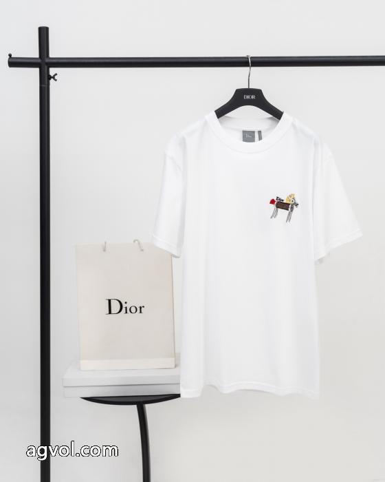 ディオール半袖Tシャツブランド 通販店人気売れ筋商品 最安値2026 最前線新作_0_1