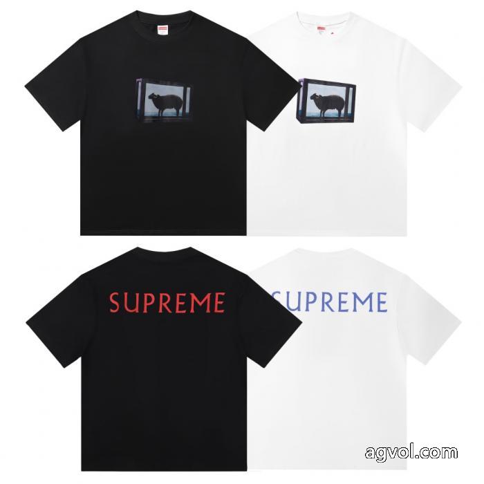 スーパー コピー 販売春の新生活 数量限定特価 正規品保証半袖TシャツSUPREME_0_0