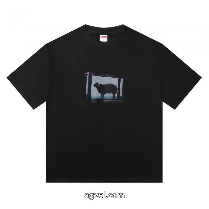 スーパー コピー 販売春の新生活 数量限定特価 正規品保証半袖TシャツSUPREME_0_2