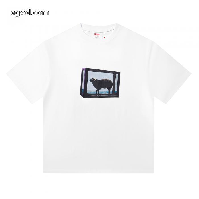 スーパー コピー 販売春の新生活 数量限定特価 正規品保証半袖TシャツSUPREME_0_3