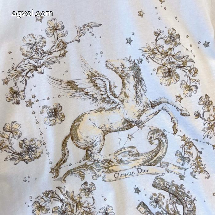 激安 通販 専門DIORスタイリッシュな印象 超激得新品 今年発売半袖Tシャツ_0_2