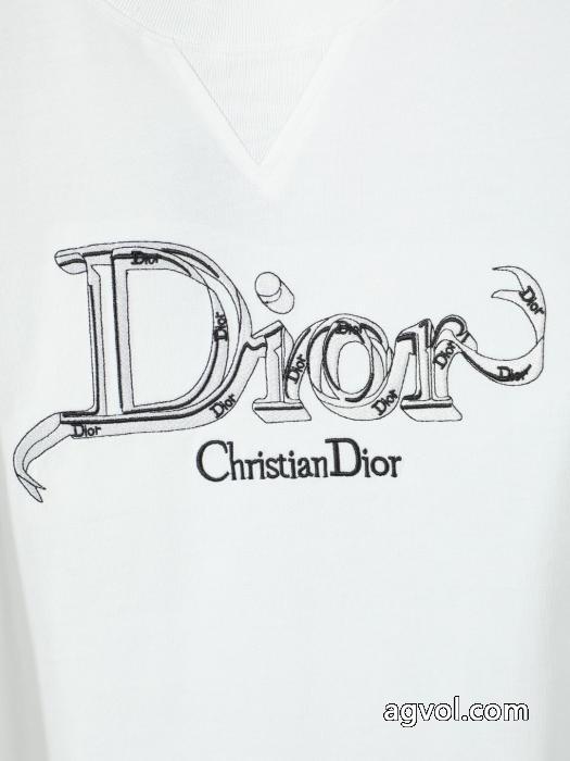 大人でお上品 品質保証260%新品 今話題!コピー ブランド 優良DIOR半袖Tシャツ_0_1