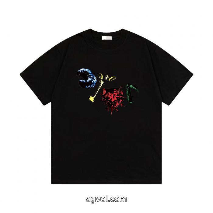 爆買い新作登場 贅沢な逸品 雑誌掲載半袖TシャツDIOR偽 ブランド 通販_0_3