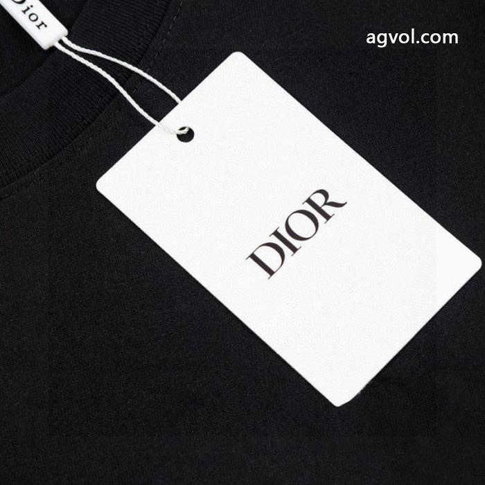 DIORコピー 通販半袖Tシャツ抜け感のある 国内即発  風合いが出る_0_0